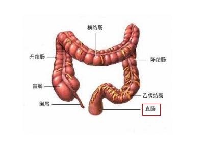 8-160611140923X5.jpg